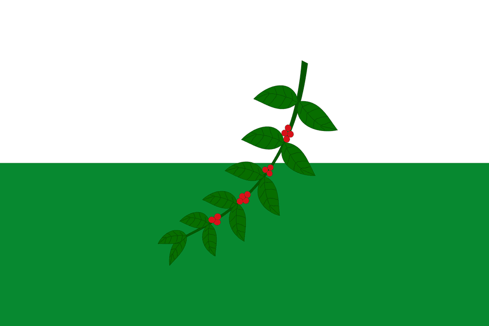Bandera oficial de La Celia, Risaralda